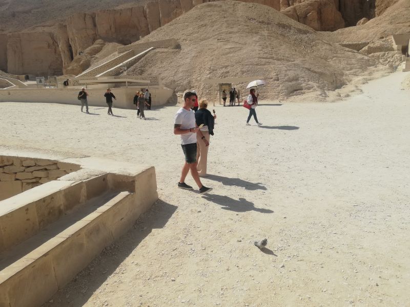 Private trip to Luxor from Marsa Alam